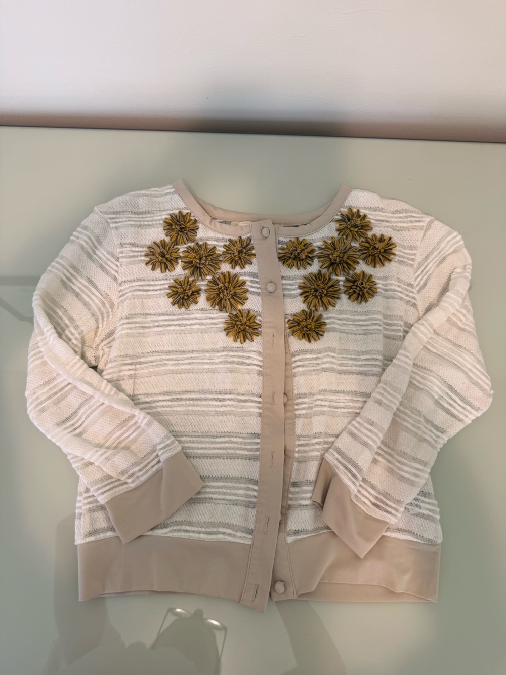 Anthropologie (a'reve) Cream and Beige Lace-Trim Knit Top